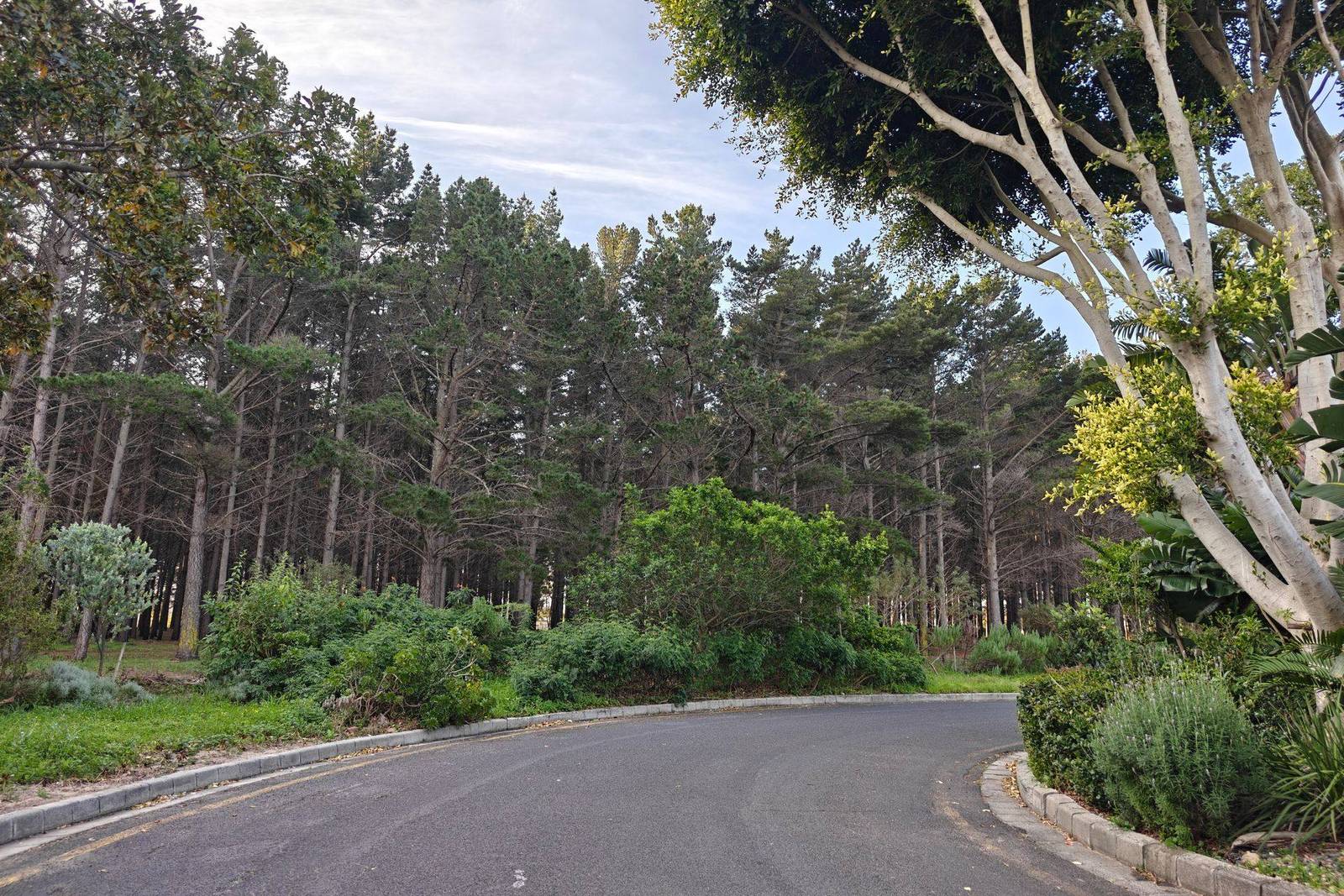 Designing a Tokai Forest-Edge Luxury Home